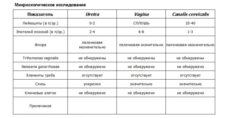 Куда устроиться беременной женщине 19