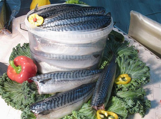 Хранение солёной рыбы в домашних условиях