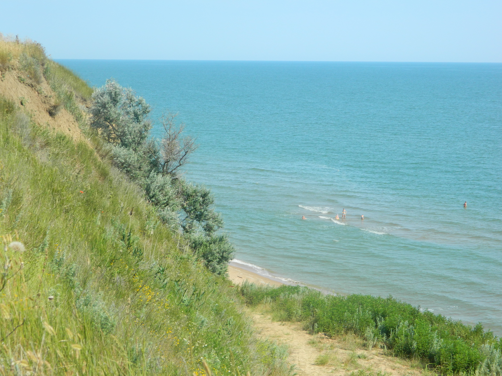 Азовское море в июле чистое
