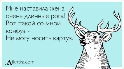 ������� ��� ���� ������ ���� ���� ���������