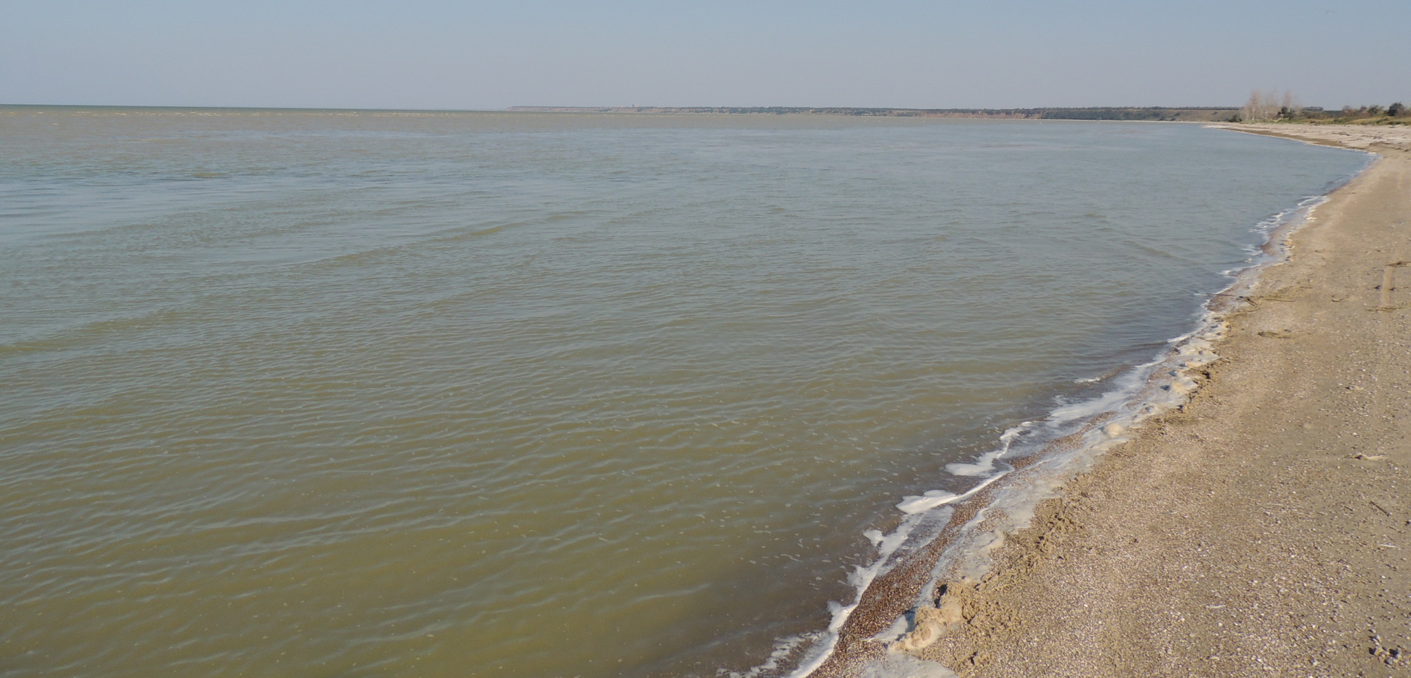 Погода в азовском районе 2 недели. Азовское море грязное. Азовское Взморье лагерь. Ейское море. Азовское море мутное.