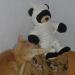 DSC05193.JPG