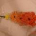 DSC01925.JPG