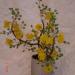 DSC01896.JPG