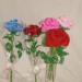 DSC01889.JPG