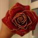 DSC02436.JPG