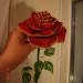 DSC02437.JPG