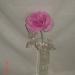 DSC02132.JPG