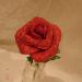 DSC01870.JPG