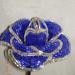 DSC02157.JPG