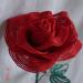 DSC02140.JPG