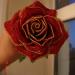 DSC02435.JPG