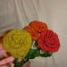 DSC01814.JPG