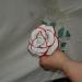 DSC02127.JPG