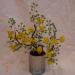 DSC01895.JPG