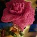 DSC02428.JPG
