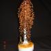 DSC01250.JPG
