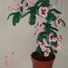 DSC02120.JPG
