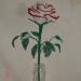 DSC02125.JPG