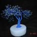 DSC01576.JPG