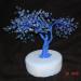DSC01577.JPG