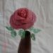 DSC01948.JPG