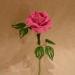 DSC01864.JPG