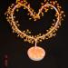 DSC01647.JPG