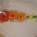 DSC01924.JPG