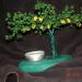DSC01586.JPG