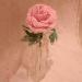 DSC01867.JPG