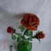 DSC02103.JPG