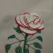 DSC02126.JPG