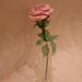 DSC01866.JPG