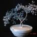 DSC01507.JPG
