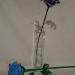 DSC02158.JPG