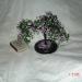 DSC01675.JPG