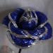 DSC02154.JPG