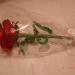 DSC01873.JPG