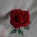 DSC02146.JPG