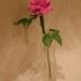 DSC01865.JPG