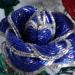 DSC02173.JPG