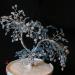 DSC01505.JPG