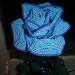 DSC02421.JPG
