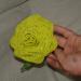 DSC01940.JPG
