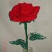 DSC02141.JPG