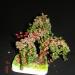 DSC01276.JPG