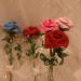 DSC01886.JPG
