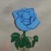 DSC02149.JPG