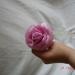 DSC02130.JPG